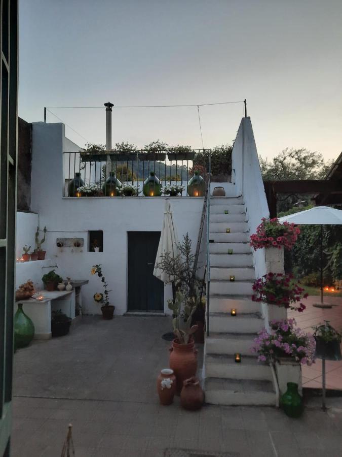 Willa Argenta 111 Santa Tecla Acireale Zewnętrze zdjęcie