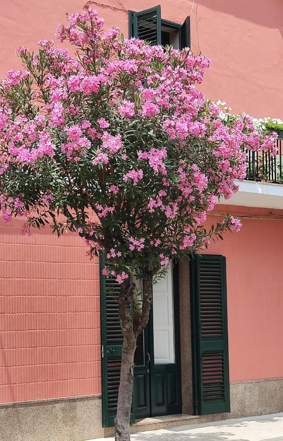 Willa Argenta 111 Santa Tecla Acireale Zewnętrze zdjęcie