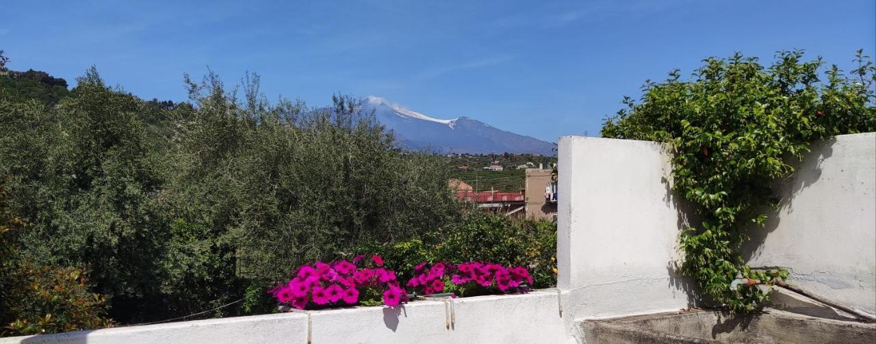 Willa Argenta 111 Santa Tecla Acireale Zewnętrze zdjęcie