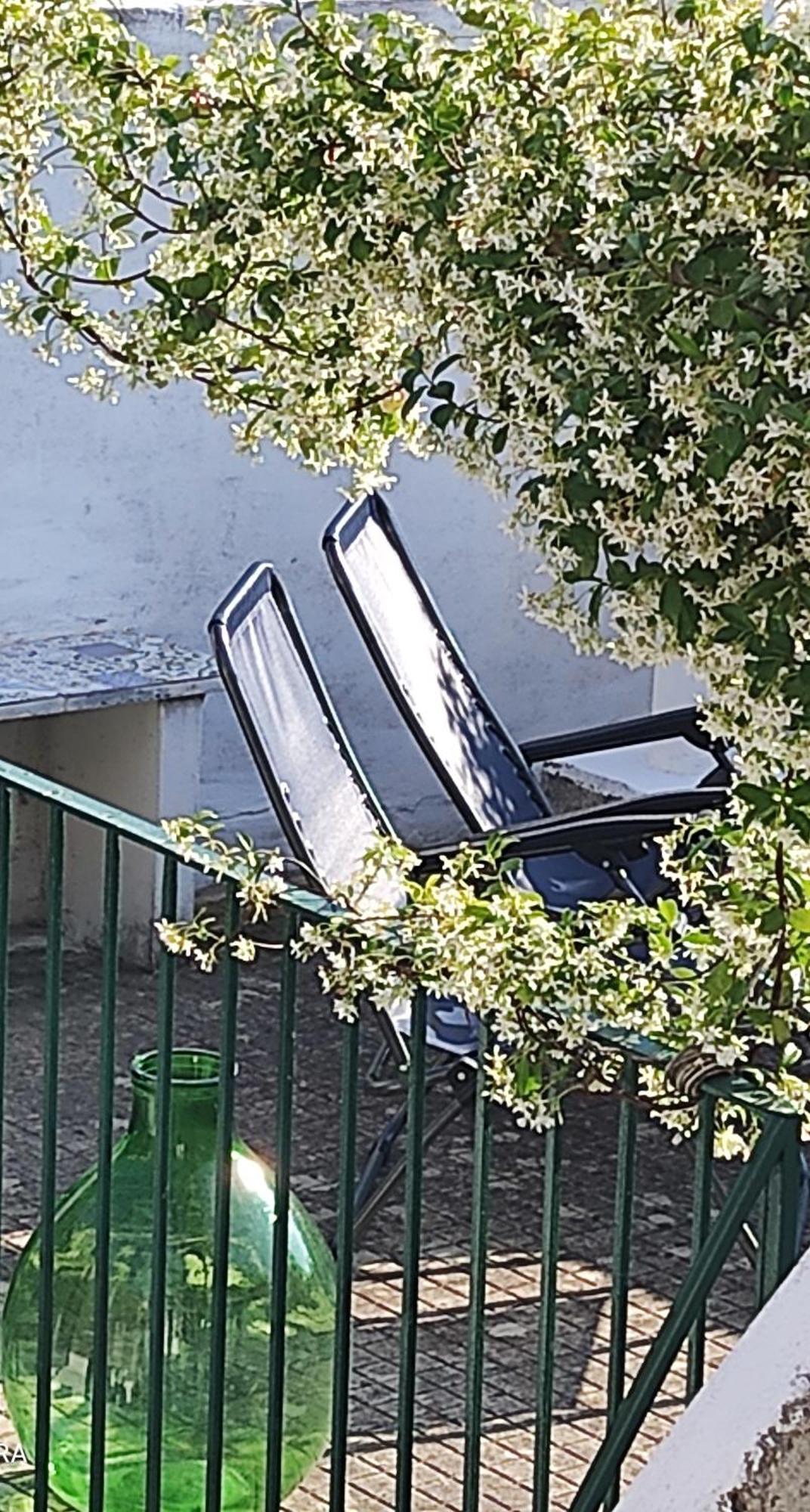 Willa Argenta 111 Santa Tecla Acireale Zewnętrze zdjęcie